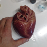 #3A Silicone rubber Heart